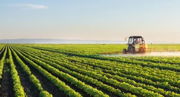agriculture