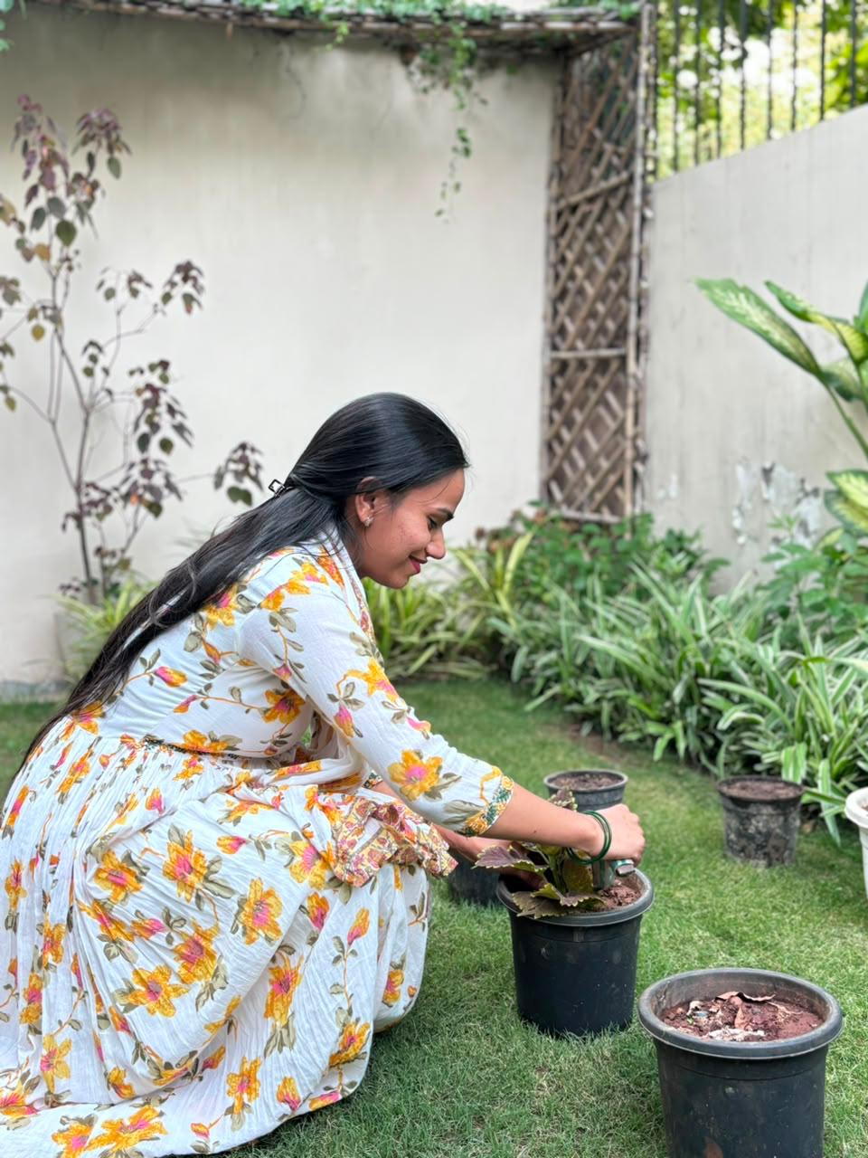 Tree Plantation Drive by Aaxis Nano